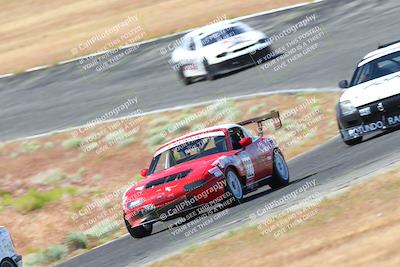 media/May-06-2023-Lucky Dog Racing (Sat) [[8f2256f436]]/Turn 2 10a/